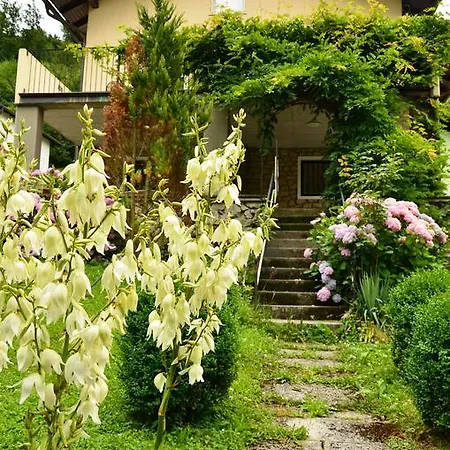Carpe Diem Gostinjska kuća Lasko