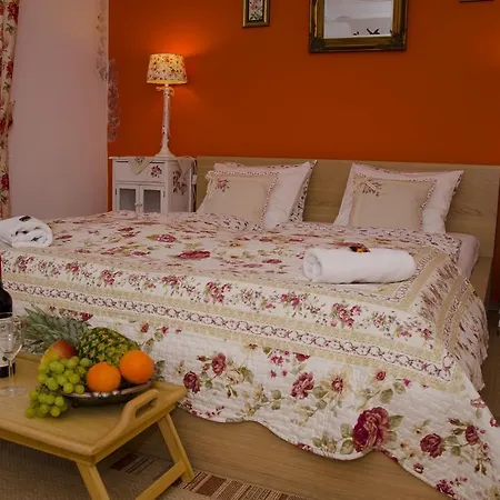 Gostinjska kuća Carpe Diem 3*