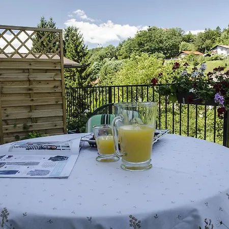 Carpe Diem Lasko